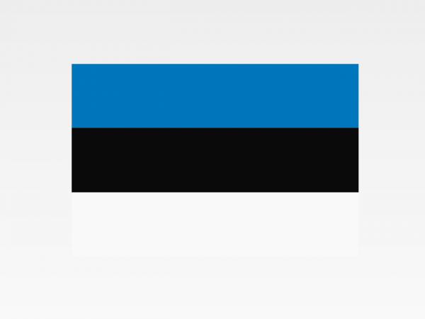 Estonia - Investigazioni aziendali e servizi informativi