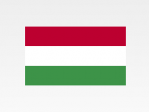Informazioni Finanziarie Internazionali – Ungheria